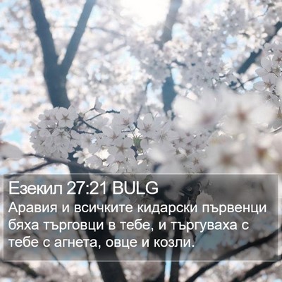 Езекил 27:21 BULG Bible Verse Image