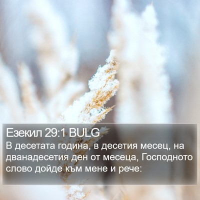 Езекил 29:1 BULG Bible Verse Image