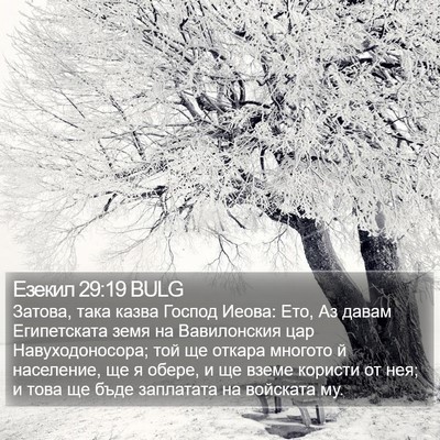 Езекил 29:19 BULG Bible Verse Image