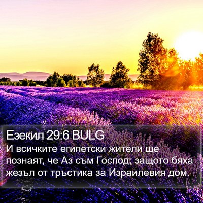 Езекил 29:6 BULG Bible Verse Image