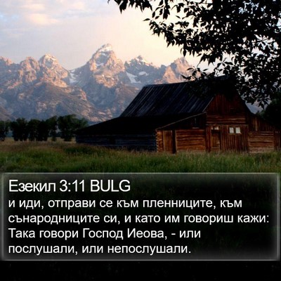 Езекил 3:11 BULG Bible Verse Image