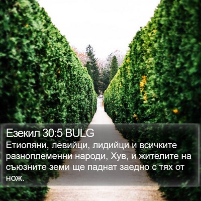 Езекил 30:5 BULG Bible Verse Image