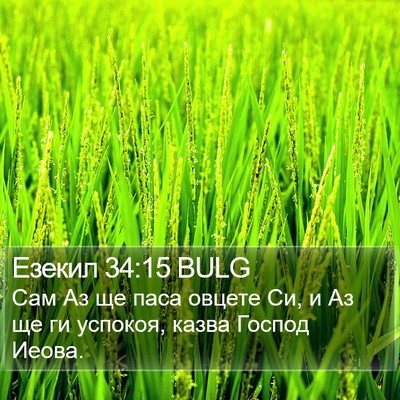 Езекил 34:15 BULG Bible Verse Image