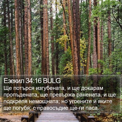 Езекил 34:16 BULG Bible Verse Image