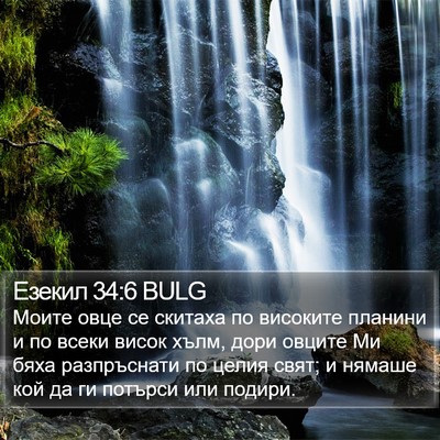 Езекил 34:6 BULG Bible Verse Image