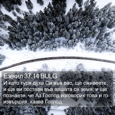 Езекил 37:14 BULG Bible Verse Image