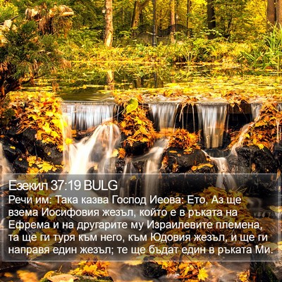 Езекил 37:19 BULG Bible Verse Image