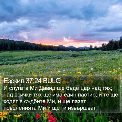 Езекил 37:24 BULG Bible Verse Image