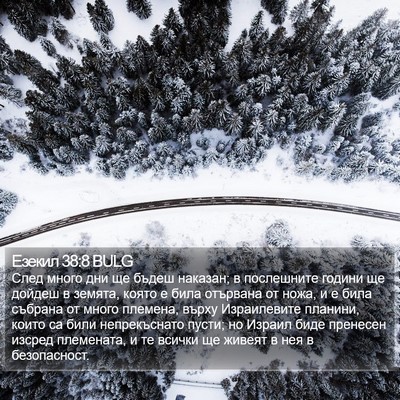 Езекил 38:8 BULG Bible Verse Image