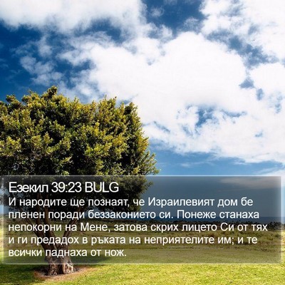 Езекил 39:23 BULG Bible Verse Image