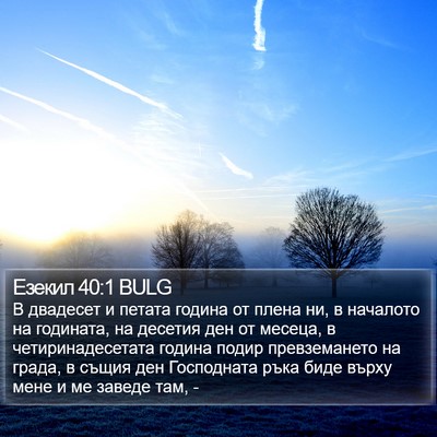 Езекил 40:1 BULG Bible Verse Image