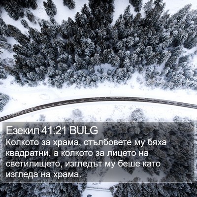 Езекил 41:21 BULG Bible Verse Image