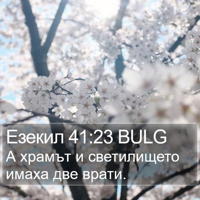 Езекил 41:23 BULG Bible Verse Image