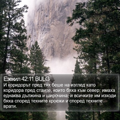 Езекил 42:11 BULG Bible Verse Image