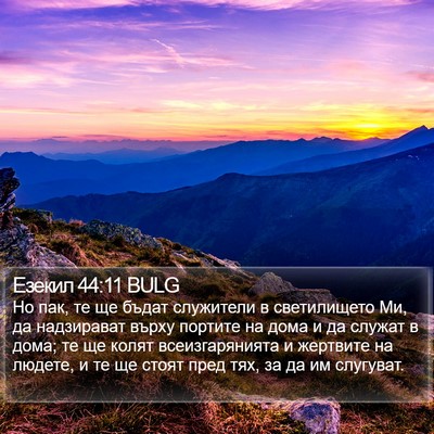 Езекил 44:11 BULG Bible Verse Image
