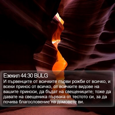 Езекил 44:30 BULG Bible Verse Image