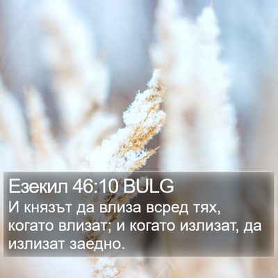 Езекил 46:10 BULG Bible Verse Image