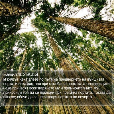 Езекил 46:2 BULG Bible Verse Image