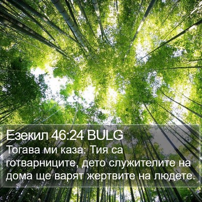Езекил 46:24 BULG Bible Verse Image