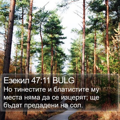 Езекил 47:11 BULG Bible Verse Image