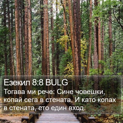 Езекил 8:8 BULG Bible Verse Image