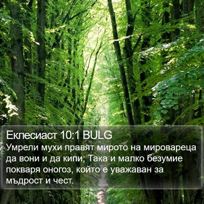 Еклесиаст 10:1 BULG Bible Verse Image