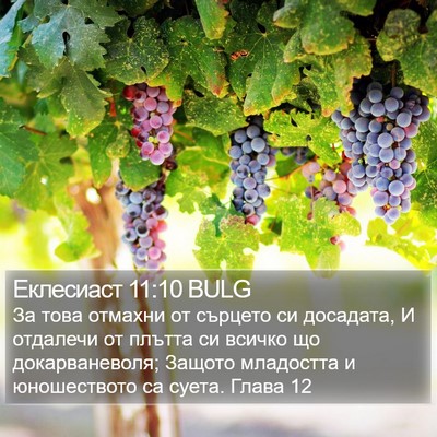 Еклесиаст 11:10 BULG Bible Verse Image