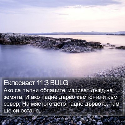 Еклесиаст 11:3 BULG Bible Verse Image