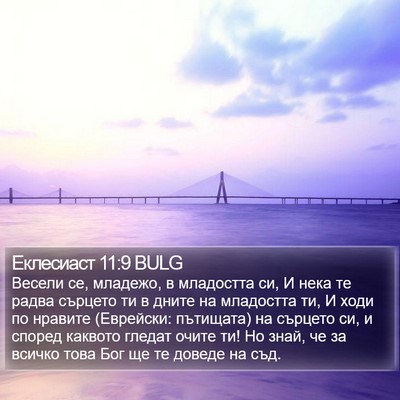 Еклесиаст 11:9 BULG Bible Verse Image