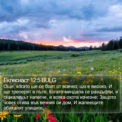 Еклесиаст 12:5 BULG Bible Verse Image