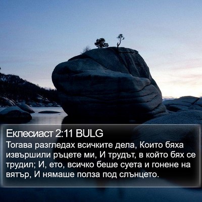 Еклесиаст 2:11 BULG Bible Verse Image