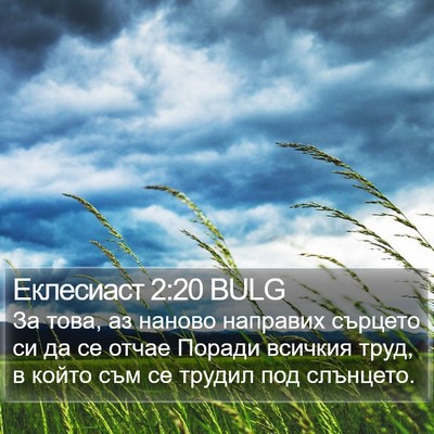 Еклесиаст 2:20 BULG Bible Verse Image
