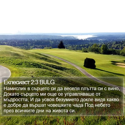 Еклесиаст 2:3 BULG Bible Verse Image