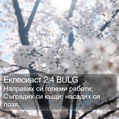 Еклесиаст 2:4 BULG Bible Verse Image