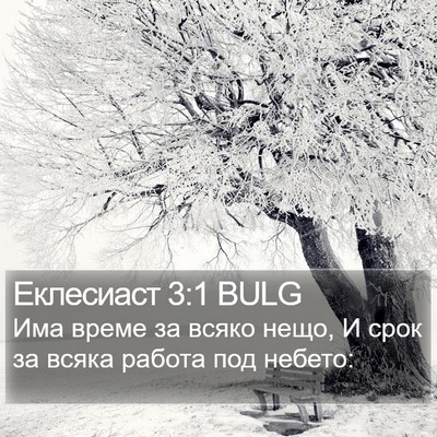 Еклесиаст 3:1 BULG Bible Verse Image