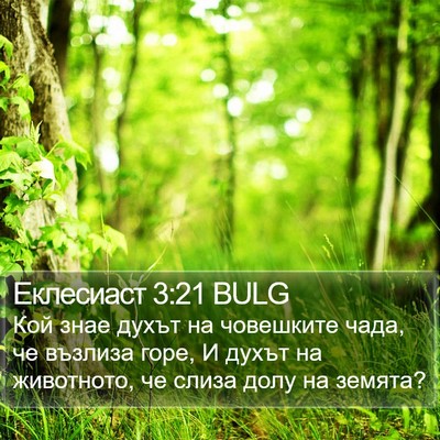 Еклесиаст 3:21 BULG Bible Verse Image