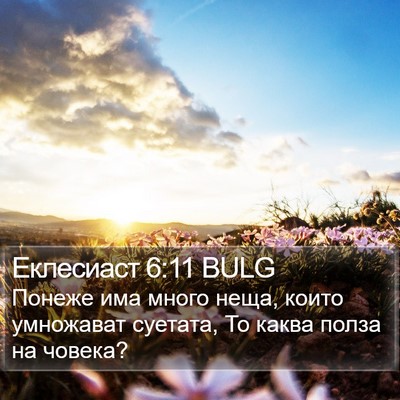 Еклесиаст 6:11 BULG Bible Verse Image