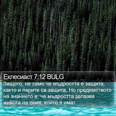 Еклесиаст 7:12 BULG Bible Verse Image