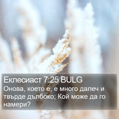 Еклесиаст 7:25 BULG Bible Verse Image