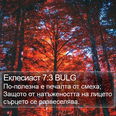 Еклесиаст 7:3 BULG Bible Verse Image