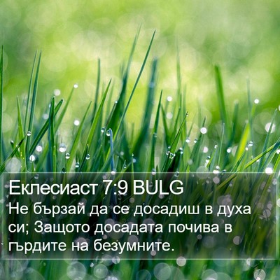 Еклесиаст 7:9 BULG Bible Verse Image