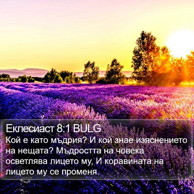 Еклесиаст 8:1 BULG Bible Verse Image
