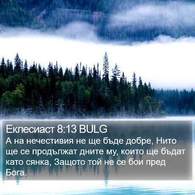 Еклесиаст 8:13 BULG Bible Verse Image