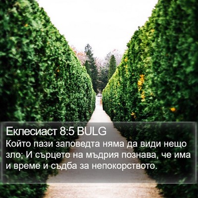 Еклесиаст 8:5 BULG Bible Verse Image
