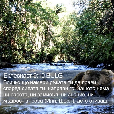 Еклесиаст 9:10 BULG Bible Verse Image