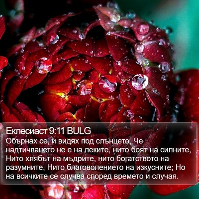 Еклесиаст 9:11 BULG Bible Verse Image