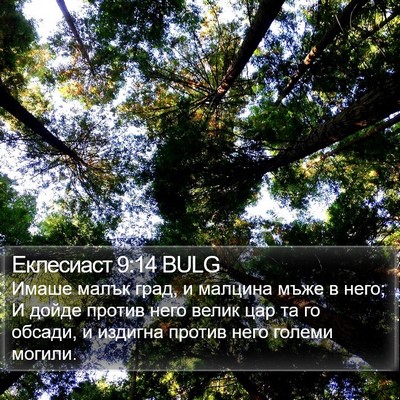 Еклесиаст 9:14 BULG Bible Verse Image