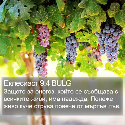 Еклесиаст 9:4 BULG Bible Verse Image