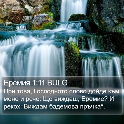 Еремия 1:11 BULG Bible Verse Image