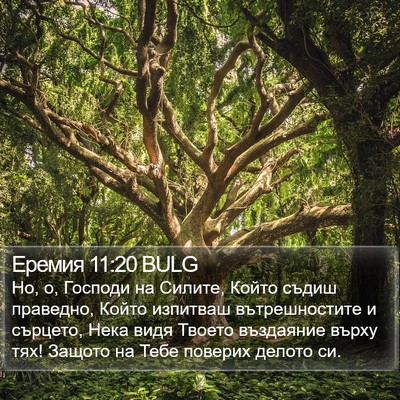 Еремия 11:20 BULG Bible Verse Image